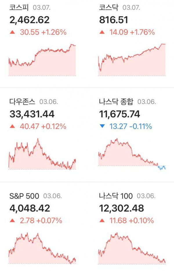 17467799225499.jpg