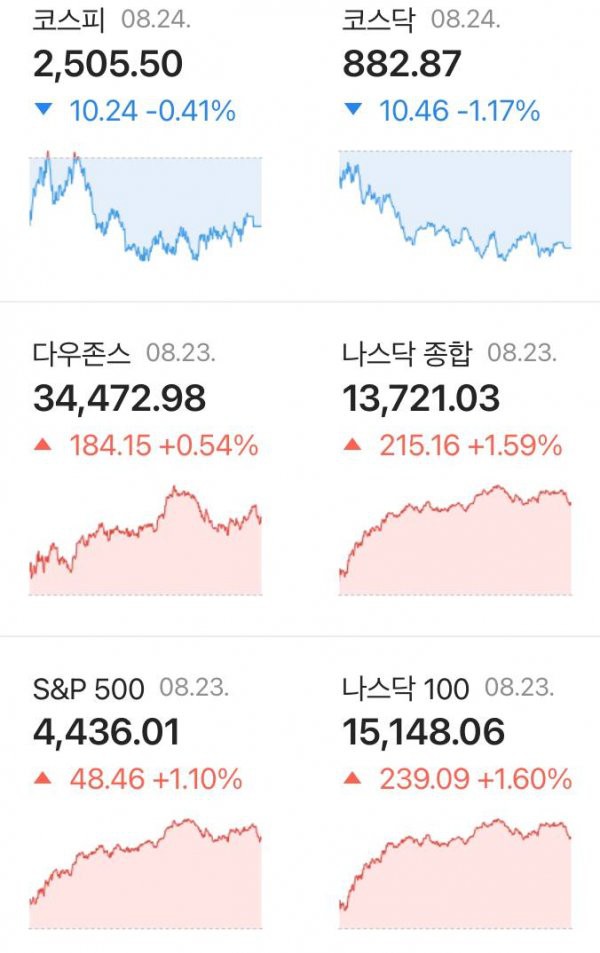 17467817703577.jpg