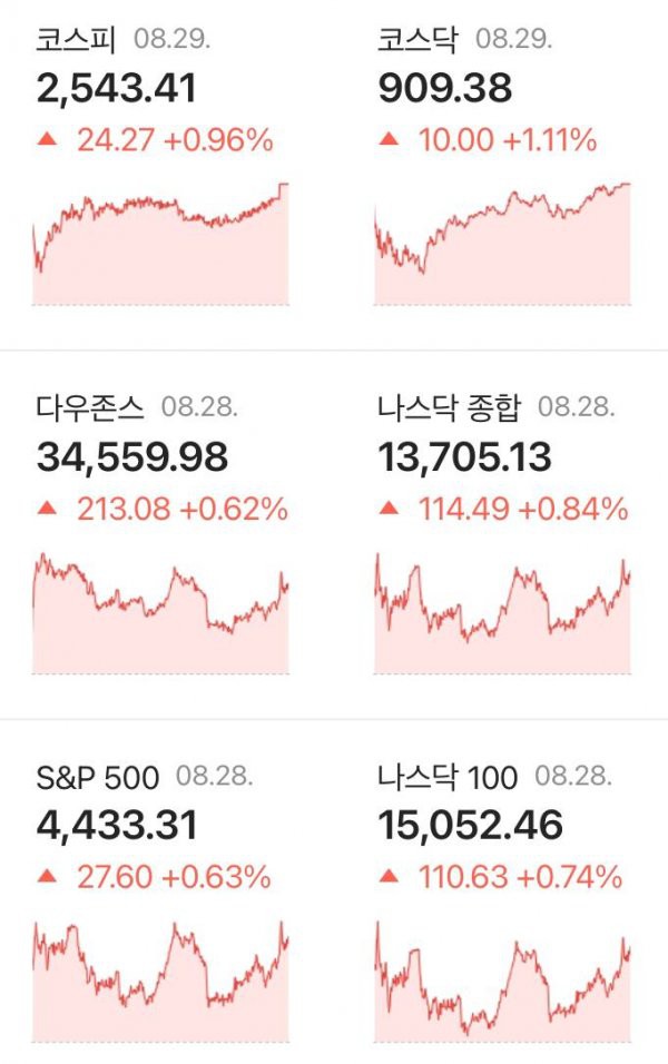17467818189682.jpg