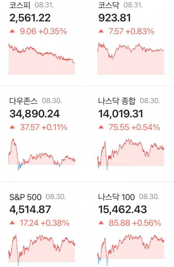 17467818394439.jpg