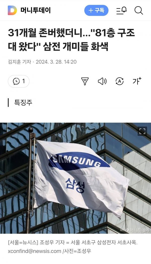 17467841144895.jpg